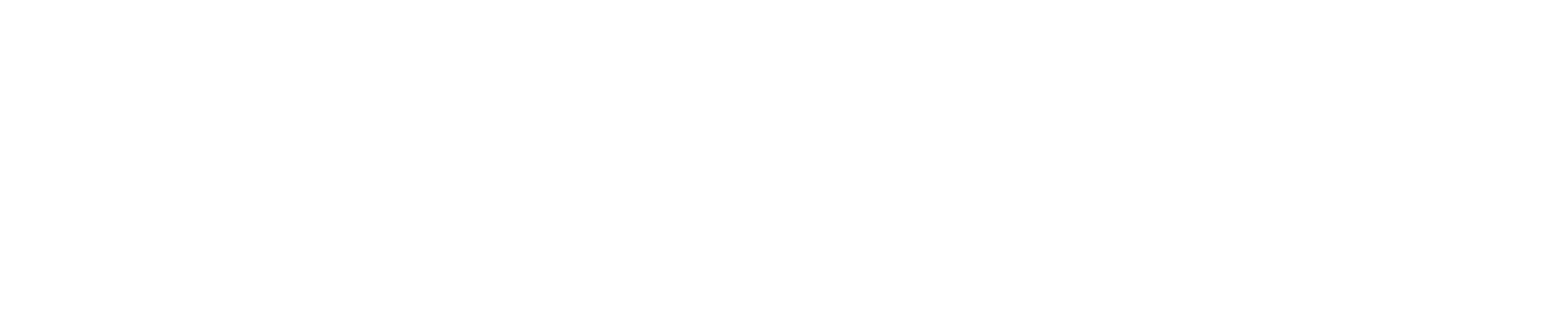 lakestream media logo valge